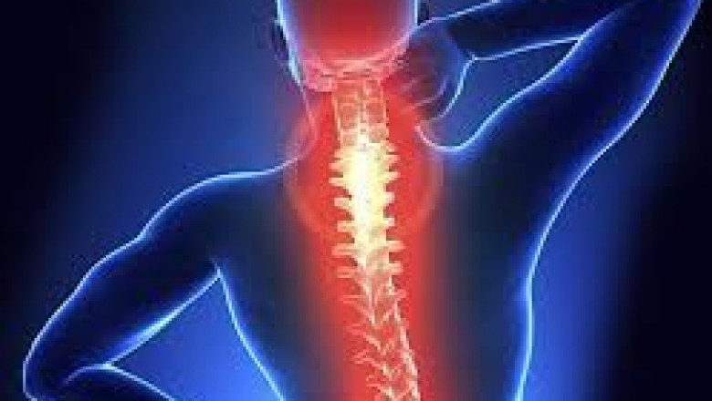 Wasserman Chiropractic