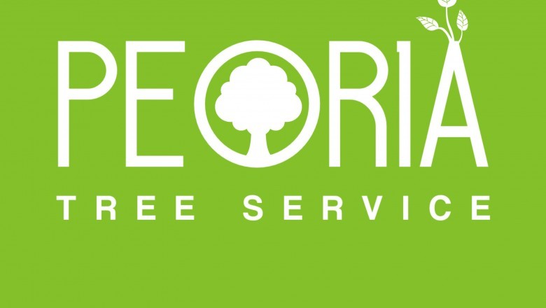 Tree Removal Price - Figuring out Things and Estimates