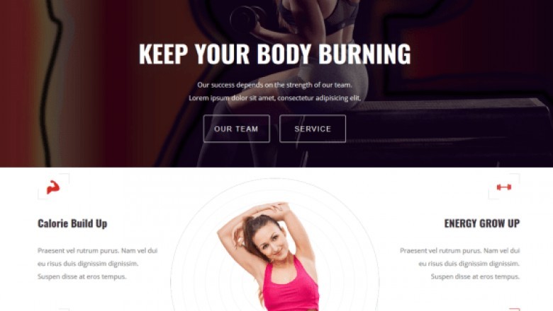 Know About WordPress Themes