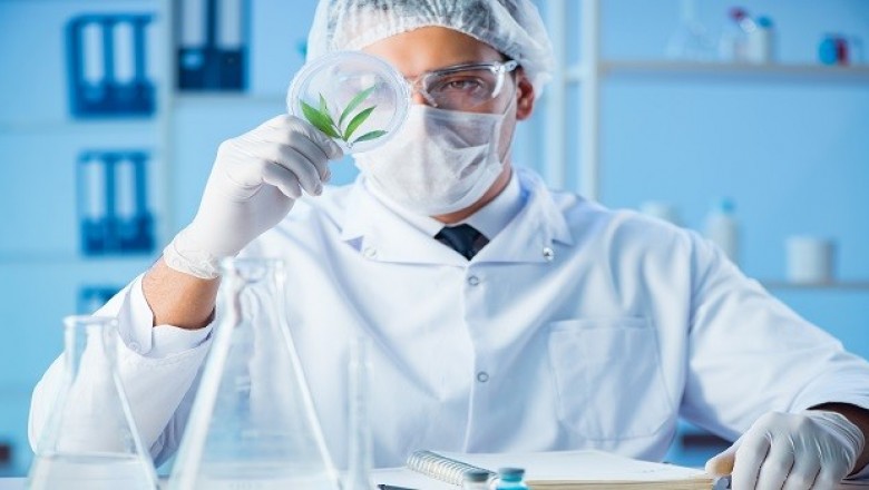 CURE Extends Vitamin D, Sleep and Combination CBD Products Distribution throughout Mexico
