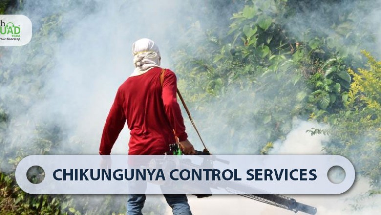 Best Chikungunya Control Services in Bangalore
