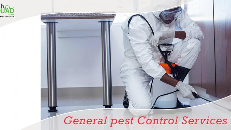 Best General Pest Control Services in Bangalore