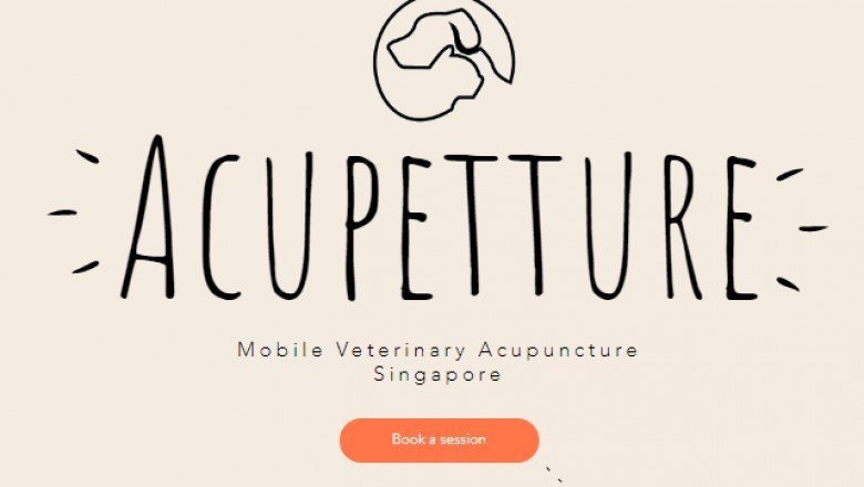 Pets acupuncture treatment