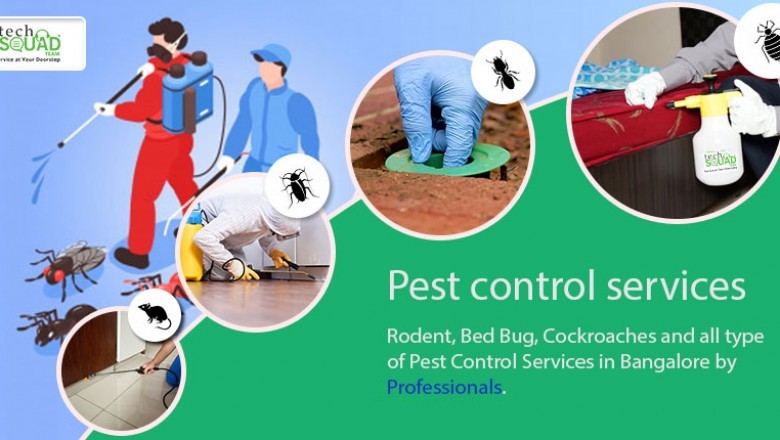 Corona virus Pandemic and the Importance of Pest Control