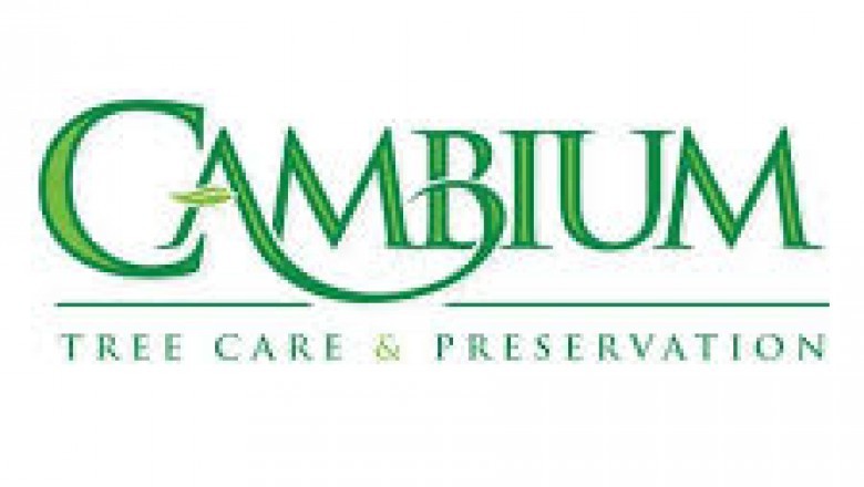 Gulfport Tree Service