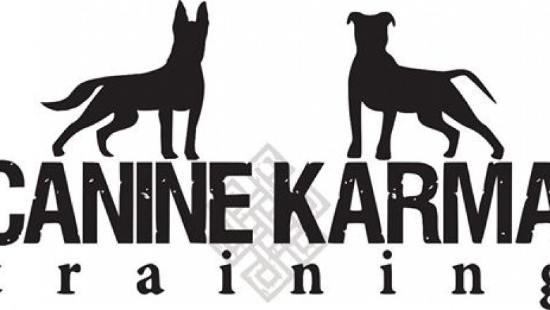 Dog Training Suffolk County NY