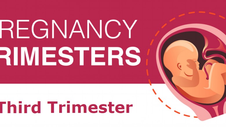 3rd Trimester – Weeks, Development, Physical & Psychological Changes