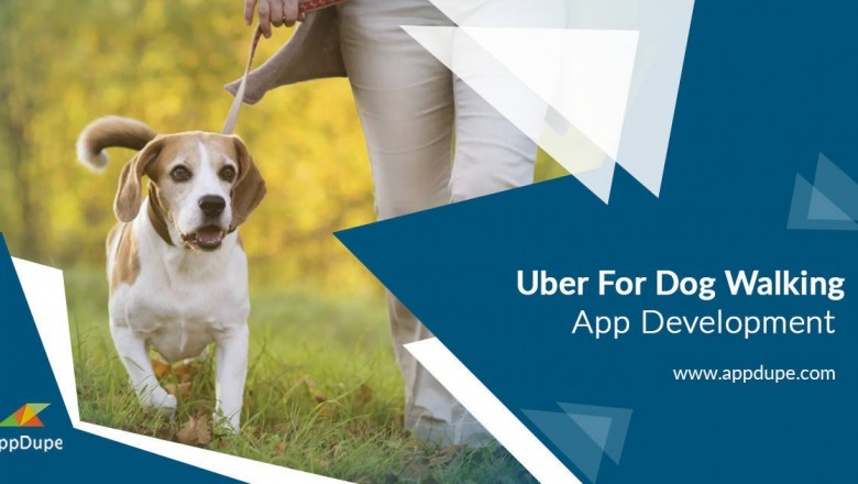 Why shouldn’t you hesitate to invest in an Uber for dog walking service app?