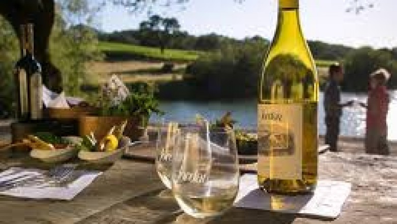taste pinot noir