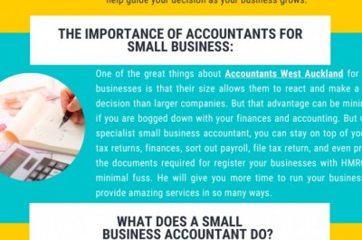 accountants for small business auckland