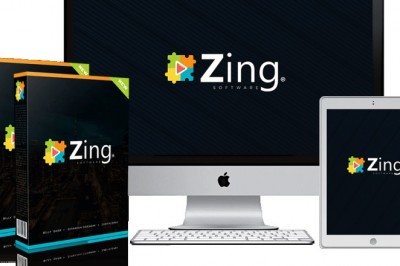 ZING SOFTWARE REVIEW