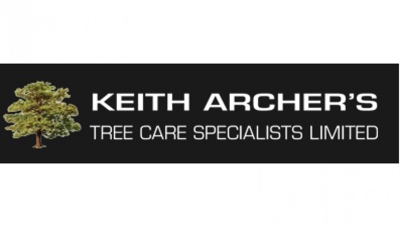 Tree surgeons Chelmsford