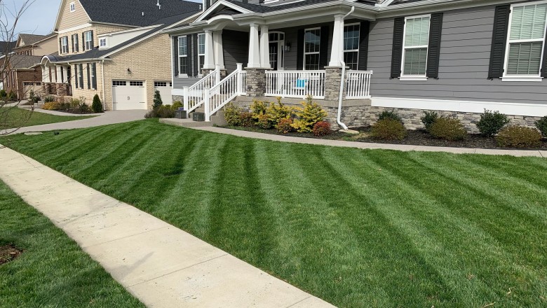 Brentwood Lawn Maintenance