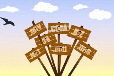 Qualities of the Shared Web Hosting Company