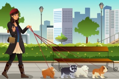 Developing An Innovative Dog Walking App