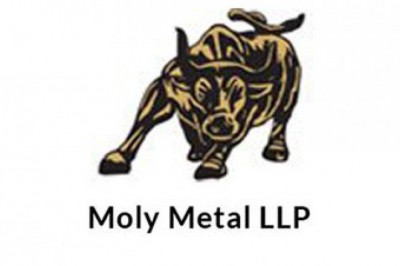 Molybdenum Disulfide Powder