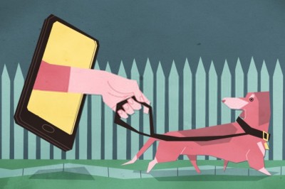 Brief Outlook About The Workflow And Revenue Streams Of Uber For Dogwalker