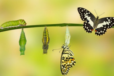 How to stay relevant in changing times