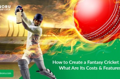 The monetization strategies in fantasy cricket app business
