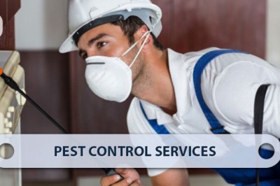 What is the Importance of Pest Control Services in Bangalore?