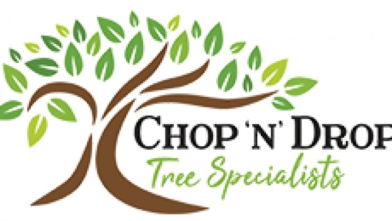 Arborist Newcastle