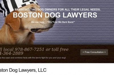 Massachusetts Pet Custody Law