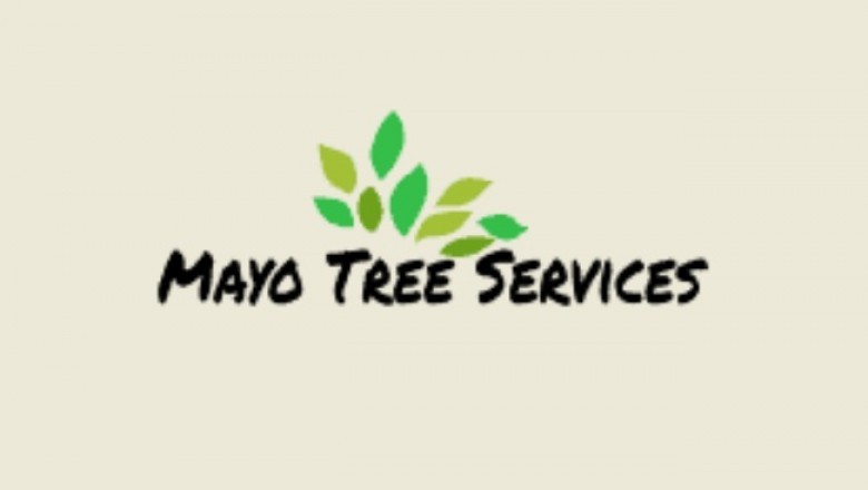 Go for Expert Tree Care Services
