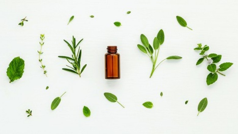 Tips for Purchasing Medicines from an Online Pharmacy