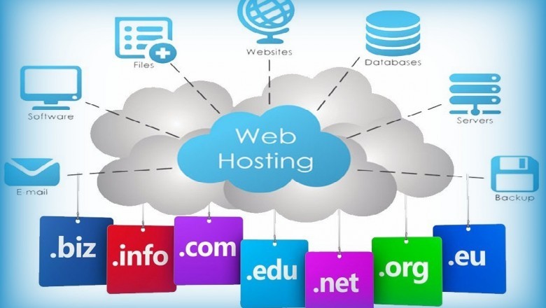 Website Domain Hosting