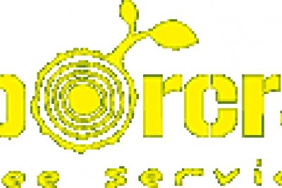 Using the Right Mulch in Your Garden