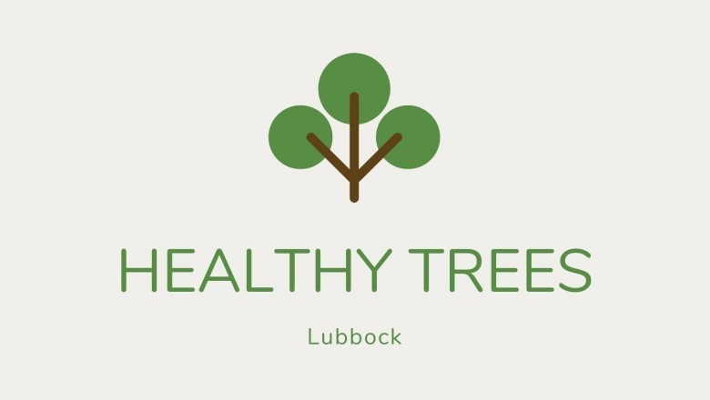 Choosing a Tree Service Professional