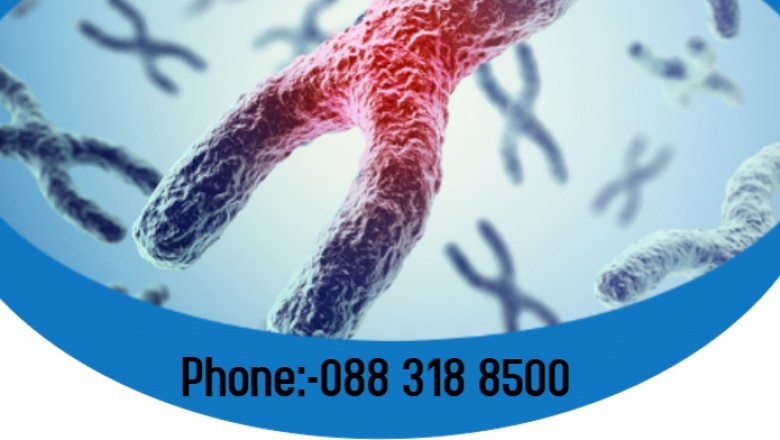 How to maintain the Telomeres length?