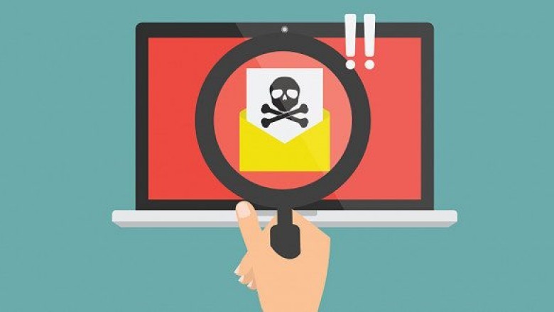 WordPress Management