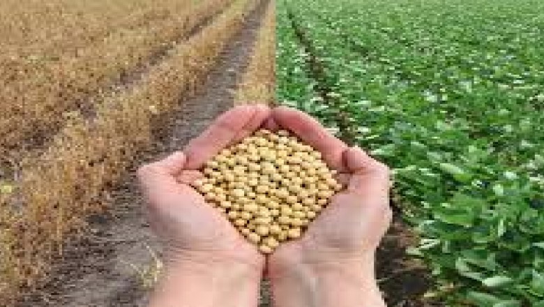 Europe CRISPR in Agriculture Market Trends, Size, Forecast - 2019-2025