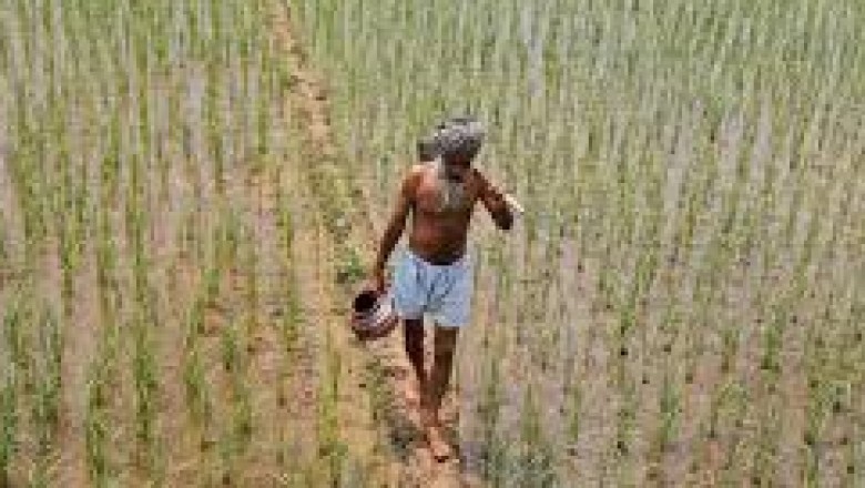 India CRISPR in Agriculture Market Trends, Size, Forecast - 2019-2025