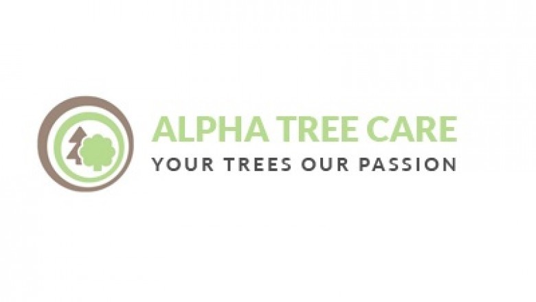 Tree Surgeons Oxshott