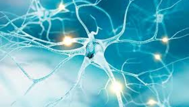 US Electroceuticals Market Trends, Size, Forecast - 2019-2025