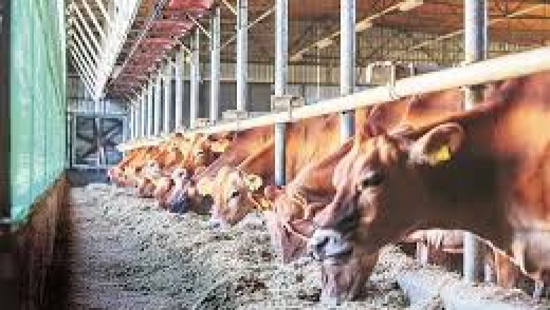 Global Animal Husbandry Market Trends, Size, Forecast - 2019-2025