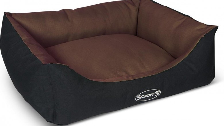 Ways to Pick the right Dog Bed For your Pet