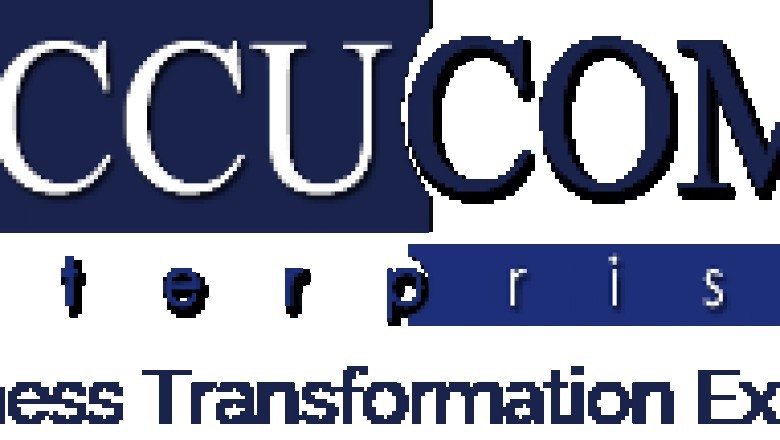 VCFO accountants in USA