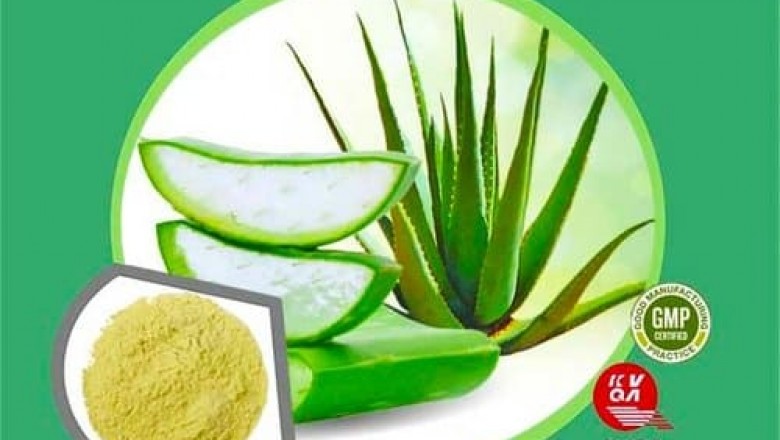 Aloe Vera Extract | Ghritkumari Extract