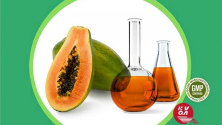 Carica Papaya Liquid Extract Supplier & Manufacturer