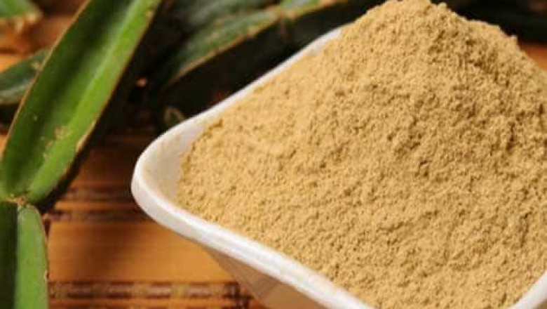 Hadjod extract exporter | Cissus Quadrangularis Manufacturer