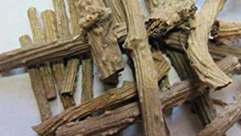 Tinospora cordifolia (Giloy) extract exporter