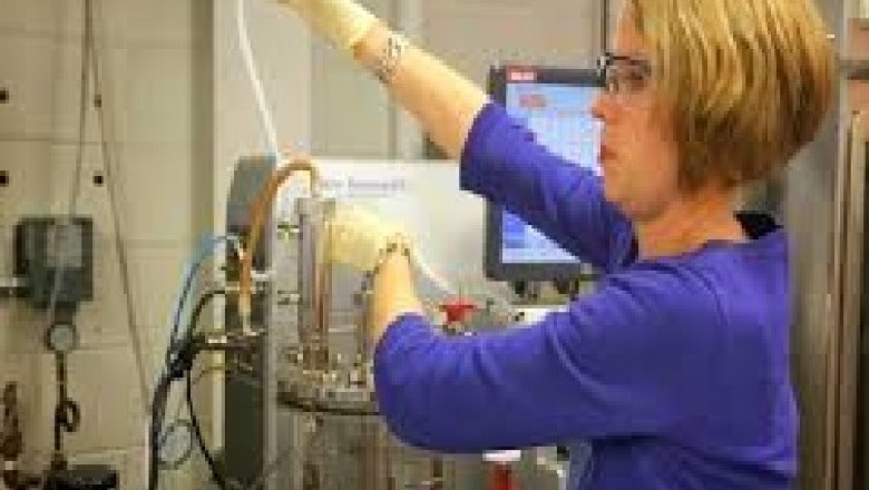 Global Downstream Processing Market Trends, Size, Forecast - 2019-2025
