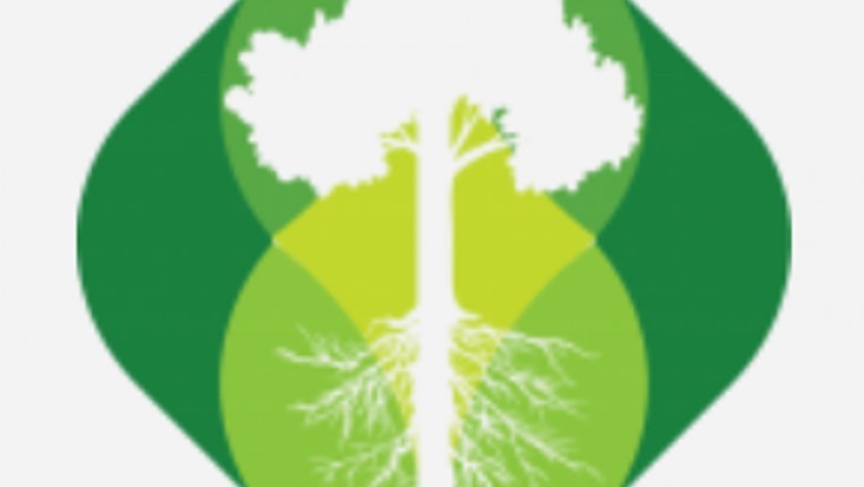 Why Employ A Tree Removal Service?