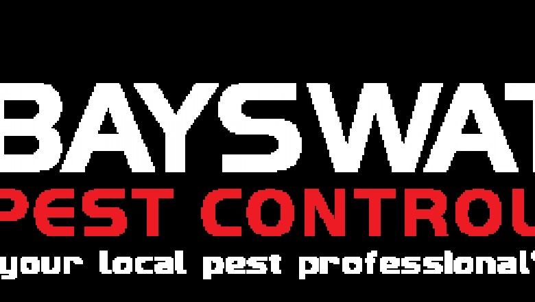 Domestic Rat Control in Melbourne - Bayswater pest control