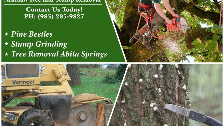 Tree Removal Pearl River | Best Tree Removal