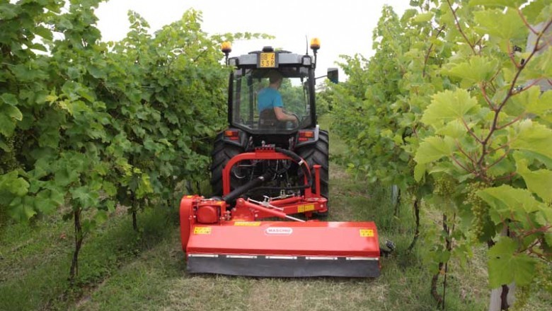 Will a flail mower cut brush?