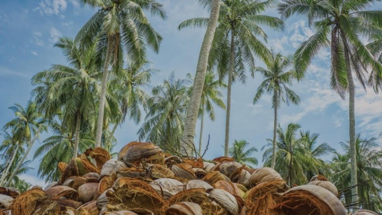 Coconut Coir Growing Media